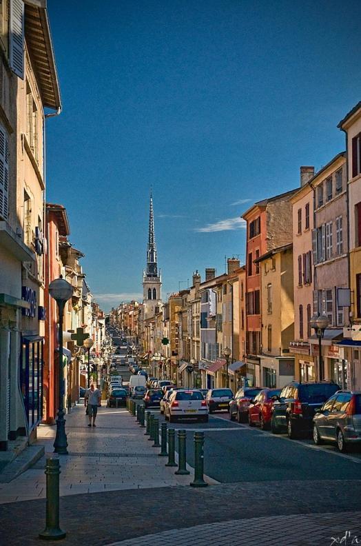 Le Cosy Twin Daire Villefranche-sur-Saône Dış mekan fotoğraf